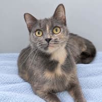 Photo of Princess Sprinkles