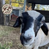 Photo of Thelma & Louise