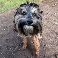 Photo of Cleo