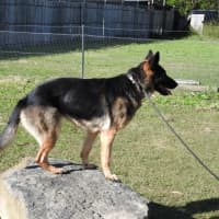 Photo of Bessy