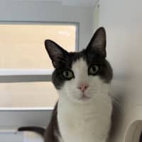 Photo of Ceecee