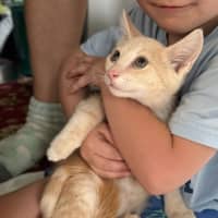 Photo of Rudolph 🦌