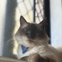 Photo of Winnie