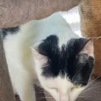 Photo of May   Now At Pet Quarters Broadmeadow