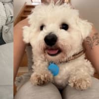 Photo of Max