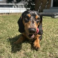 Photo of Charlie