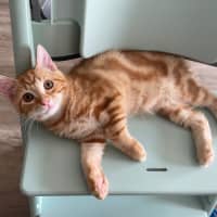 Photo of Gabriel Xenos