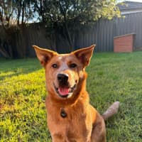 Photo of Remi