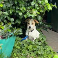 Photo of Bonnie Jrt