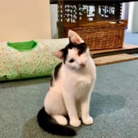 Photo of Jake & Jasper 💙