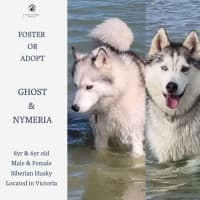 Photo of Ghost & Mirri