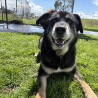 Photo of Zeus 