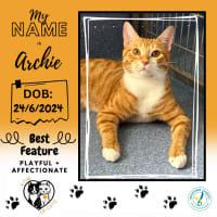 Photo of Archie