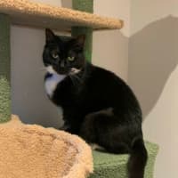 Photo of Coraline