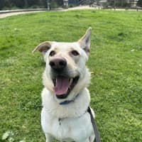Photo of Duke