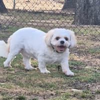Photo of Evie
