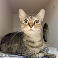 Photo of Alice