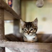 Photo of Evie