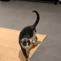 Photo of Max Illingworth