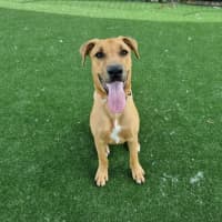 Photo of Xena Imp 2533