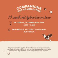 Photo of Rescue Hens  Bairnsdale