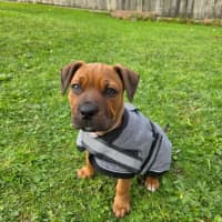 Photo of Storm