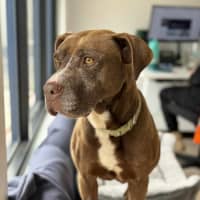 Photo of 🥓 Eazy 6370 🥓