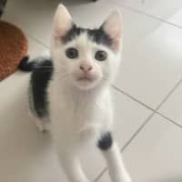 Photo of Delilah