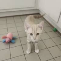 Photo of Alfie