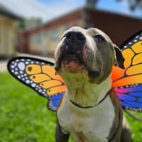 Photo of Lexi