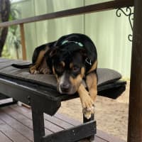 Photo of Marnie