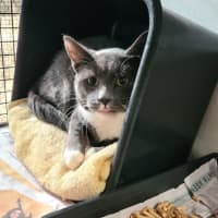 Photo of Spike
