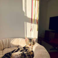 Photo of Carmela