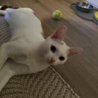 Photo of Gabby 