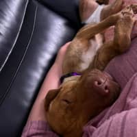 Photo of Mila And Lindy