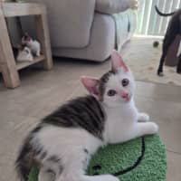 Photo of Chika