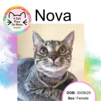 Photo of Nova
