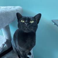 Photo of Sooty