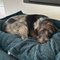 Photo of Chloe