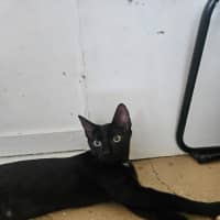 Photo of Clawdia