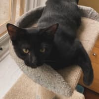 Photo of Prismo