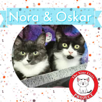 Photo of Nora & Oskar *9 Lives Project Rescue*