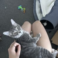 Photo of Chex