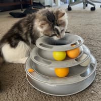 Photo of Twinnie Meet Me@Petstock Keysborough Storw