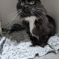 Photo of 🥞 Crepes 5730 🥞