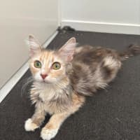 Photo of Sally