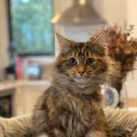 Photo of Astra 