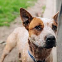 Photo of Nala Jablonksi