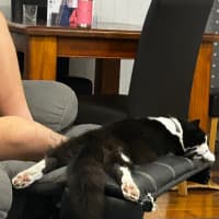 Photo of Papatuanoku