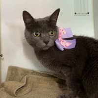 Photo of Mimi